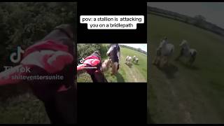 stallion attacking mare on a hack 😱🐴 equestrain shortvideos youtube viral [upl. by Iman]