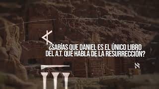 EL LIBRO DE DANIEL [upl. by Eissen]