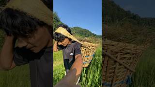 Dashain Aayo🥰minivlog bimalvlog villagelifestyle trending funny [upl. by Florian]