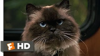 Meet the Fockers 412 Movie CLIP  Jinxy Flushes Moses 2004 HD [upl. by Buhler]