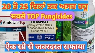 Paddy top Fungicides sygenta Amistar topbayer nativoHD3385HD3386 [upl. by Bricker413]