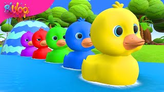 Five Little Ducks  Kids Songs  BluLoo Nursery Rhymes amp Kids Songs [upl. by Higinbotham]