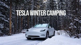 Tesla Winter Camping [upl. by Nibbs683]