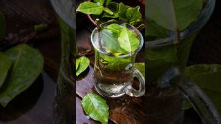 Benefits of Bay Leaf Tea [upl. by Denby386]