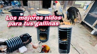 Como hacer Nidos para gallinas finas de raza 😎 [upl. by Edrahs485]