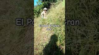 Campesino por herencia tendencias vidacampesina viralvideo [upl. by Allemrac]