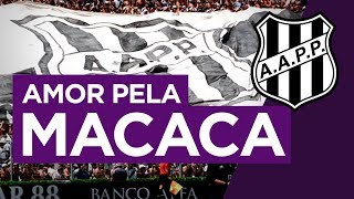 A TORCIDA DA PONTE PRETA INFLAMA QUALQUER CIDADE  ForadoEixo 25 [upl. by Elleda685]