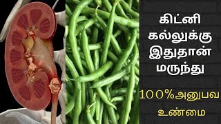 கிட்னி கல்லுக்கு ஒரே நாளில் தீர்வு  ஹீலர் பாஸ்கர் சொன்ன பீன்ஸ் வைத்தியம்  Kidney stone remedy [upl. by Idnar]