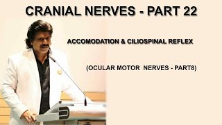 CRANIAL NERVES  PART 22 ACCOMODATION amp CILIOSPINAL REFLEX OCULAR MOTOR NERVES  PART 8 [upl. by Nomsed]