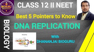 BEST FIVE POINTERS TO KNOW DNA REPLICATION II CLASS 12 II NEET II NCERT II [upl. by Amador]