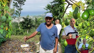 Julio vino de estados Unidos a ver como se pierden las frutas La vida del Campo [upl. by Hodosh808]