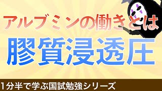 1分半で学ぶ国試勉強シリーズ「膠質浸透圧とは」アルブミンの働きや浮腫の機序を解説！ [upl. by Haorbed630]