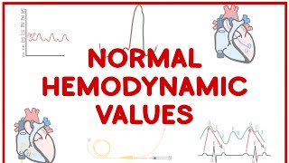 Normal Hemodynamic Pressures Made Simple [upl. by Munro]