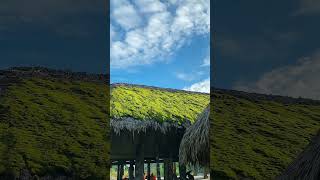 xaphin music relaxing nature antruong hagiang [upl. by Kopp949]