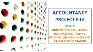 Accountancy Project File Class 11  Journal Ledger Trial Balance Profit amp Loss Balance Sheet CBSE [upl. by Tor]