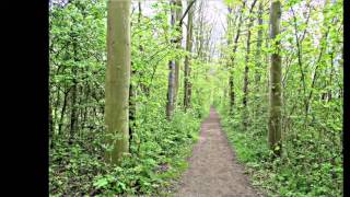 Wandelen van Middelburg naar Arnemuiden [upl. by Jeana860]