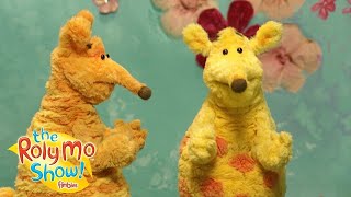 Roly Mo Show – Can I Help You  Cartoons for Children  Fimbles amp Roly Mo [upl. by Nellaf]