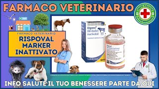 🐶 RISPOVAL MARKER INATTIVATO Farmaco Veterinario a cosa serve   Foglietto Illustrativo 👔 Dr MAX [upl. by Yenitsed654]