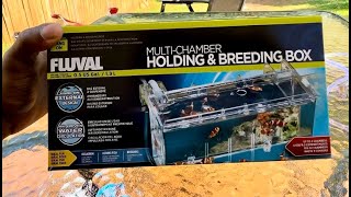 Fluval Breeder box setup [upl. by Vivianna213]