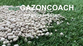 𝐁𝐞𝐤𝐚𝐥𝐤𝐞𝐧 𝐠𝐚𝐳𝐨𝐧  Wanneer en waarom kalk op gazon strooien  MijnGazonCoach [upl. by Aynnat908]