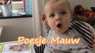 TIPS TAALSTIMULERING KIND  Huisje Boompje Feestje  Mama in Limburg  VLOG 66 [upl. by Uttica]