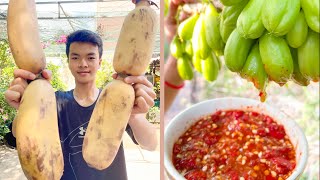 Smart boy cook lotus root and eat Extreme bilimbi eating spicy chili at the tree  Chef Ny [upl. by Lorie]