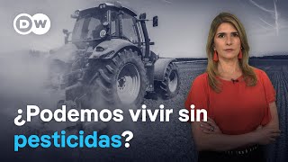 Por qué tenemos que rociar pesticidas químicos para garantizar la alimentación de la humanidad [upl. by Eesac]