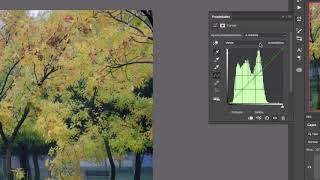 Corrección de color con ajuste de curvas en Photoshop [upl. by Jennings]