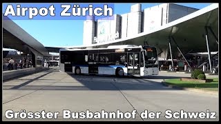 Largest Bus Terminal in Switzerland  Grösster Busbahnhof der Schweiz  Flughafen Zürich LSZH [upl. by Nosylla]