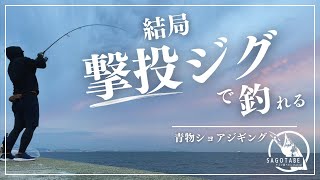 【ショアジギング】武庫一で色々試した結果、結局撃投ジグで釣れた！ [upl. by Eleira]