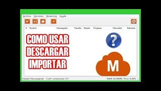 Como Usar Megadownloader [upl. by Anierdna256]