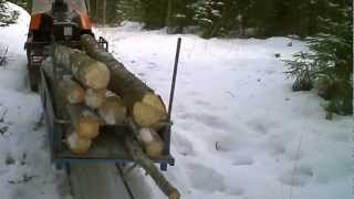 Ski Doo Alpine II in forest work [upl. by Lisandra]