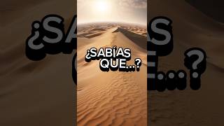 LOS SECRETOS DEL DESIERTO DEL SAHARA sahara desierto desert naturaleza [upl. by Melcher]