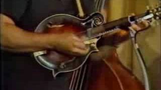 Seldom Scene Live Birchmere 1979 Part 2 [upl. by Conah]