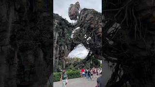 Animal Kingdom Pandora World disneyparks disneyshorts animalkingdom orlandoflorida [upl. by Henryson]