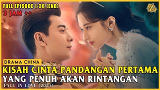 Alur Cerita Drama China Fall In Love [upl. by Kcirdor]