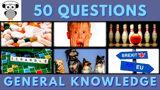 General Knowledge Quiz Trivia 6  Acetaminophen Home Alone Bowling Scrabble Dog Breed Brexit [upl. by Oderfliw147]