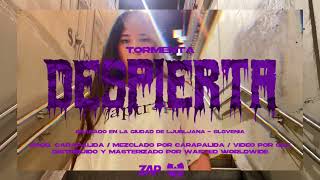 Tormenta  Despierta Prod CaraPalida Video Oficial [upl. by Fernandes754]