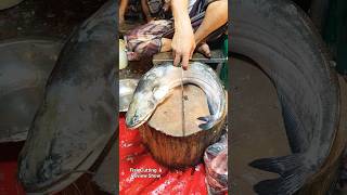 Amazing Boal Fish Super Fast Cutting Skills Live in Bangladesh Market  Wallago attu boal Cutting [upl. by Any]