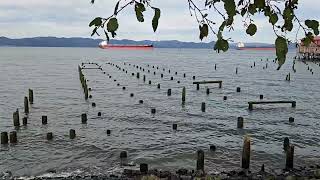 Columbia River at Astoria Oregon Waterfront oregon washington ships bridge [upl. by Llednahc490]