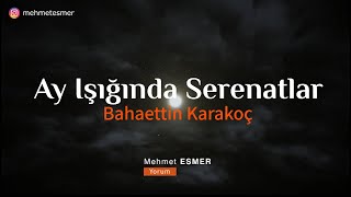 Ay Işığında Serenatlar  Bahaettin Karakoç  Şiir [upl. by Jari]