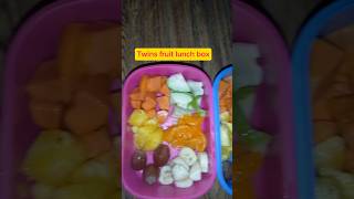 Twins lunch box fruit box kids kidsvideo shortvideo ytshorts [upl. by Ettennahs]