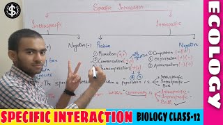 lect3specific interaction class 12 BiologyInterspecific and Intraspecific interactons in ecology [upl. by Nerraj]