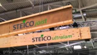 Présentation des produits STEICO [upl. by Aniretac133]