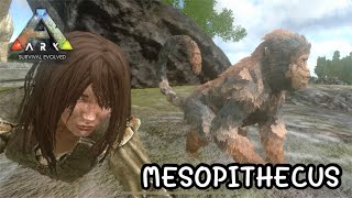 ARK Mobile Easy EP24  จับ MESOPITHECUS [upl. by Eidnim]