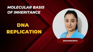 DNA Replication  Molecular Basis of Inheritance  NEET 2024  Bio  NCERT [upl. by Benedick763]