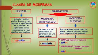 LA MORFOLOGÍA 4° AÑO [upl. by Kcirttap]