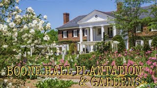 🇺🇸 4K Boone Hall Plantation and Gardens Visiting Slave houses Charleston amp South Carolina Tour [upl. by Aidua]