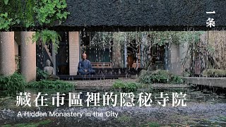 慧光法師：菩薩寺 The Most Mysterious Downtown Temple Praised by Chiang Hsun [upl. by Trebleda]