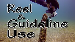 Scuba Diving Skills  Reel and Guideline Use [upl. by Eusoj]